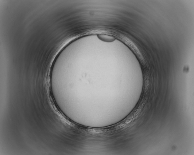 X0000098020852200804251135