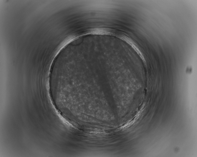 X0000098020853200804251135