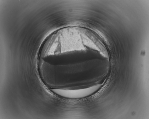X0000098020854200804251135
