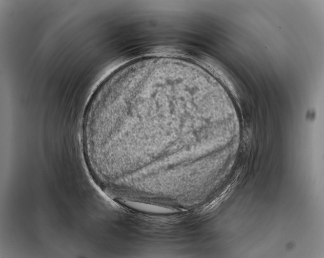 X0000098020855200804251135