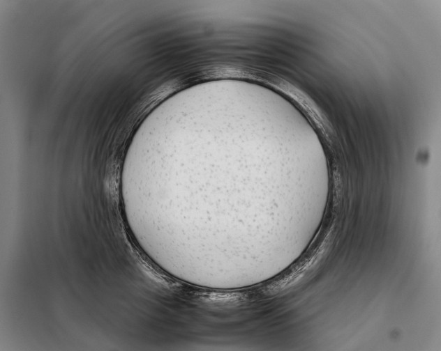 X0000098020857200804251135