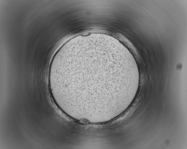 X0000098020860200804251136