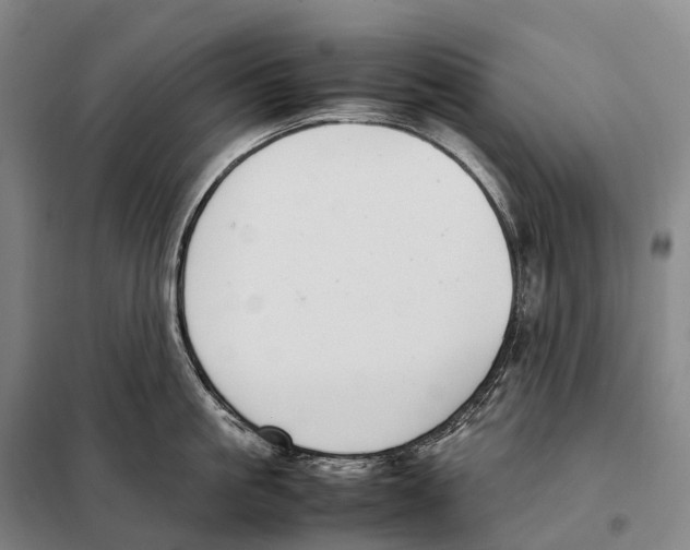 X0000098020861200804251136