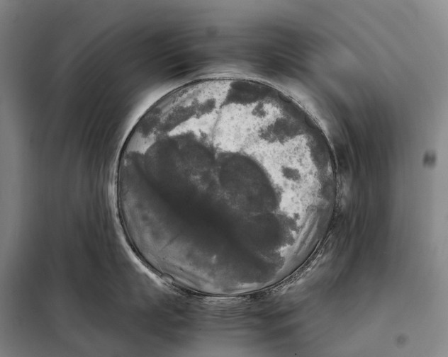 X0000098020863200804251136