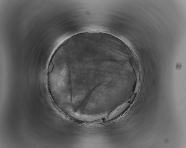 X0000098020864200804251136