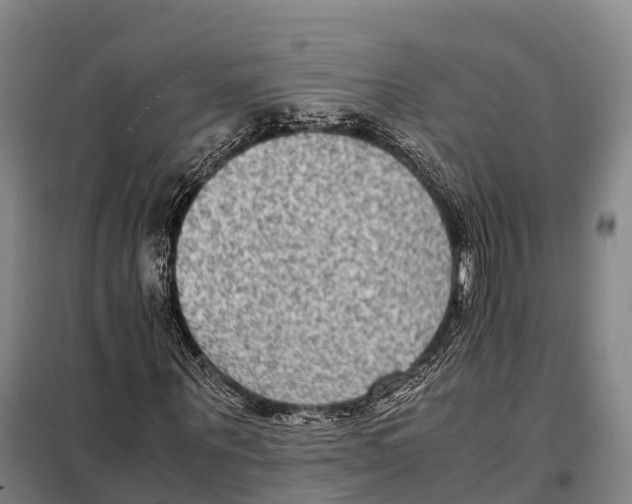 X0000098020867200804251135