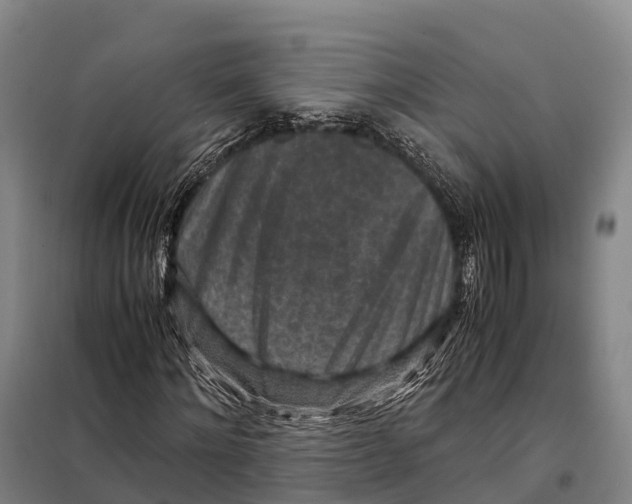 X0000098020868200804251135