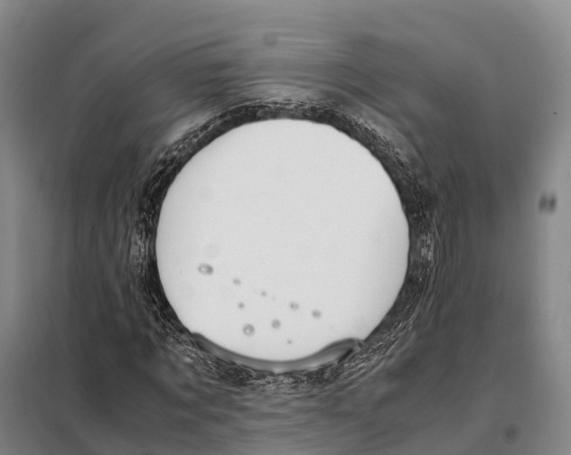 X0000098020869200804251135