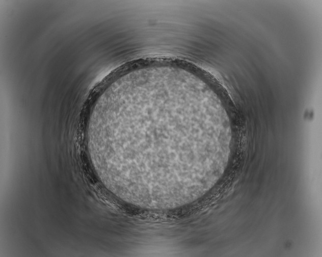 X0000098020871200804251135