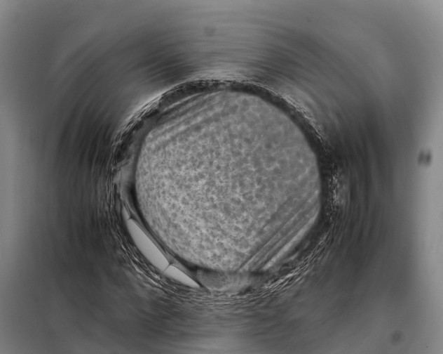 X0000098020872200804251135