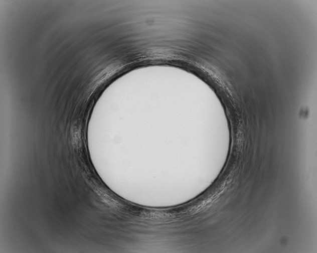 X0000098020873200804251135