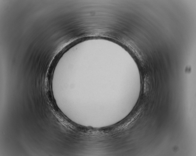 X0000098020876200804251135