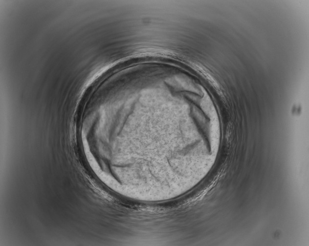 X0000098020877200804251135
