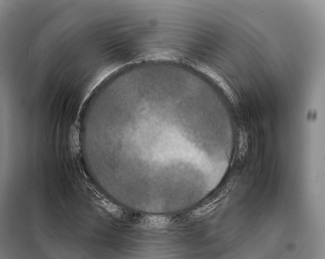 X0000098020878200804251135