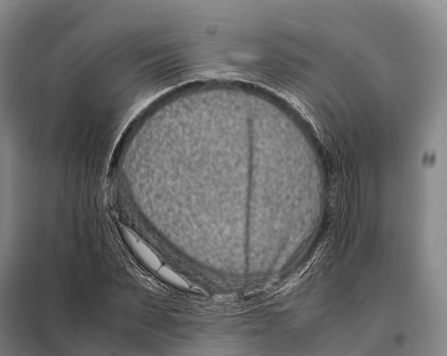 X0000098020879200804251135