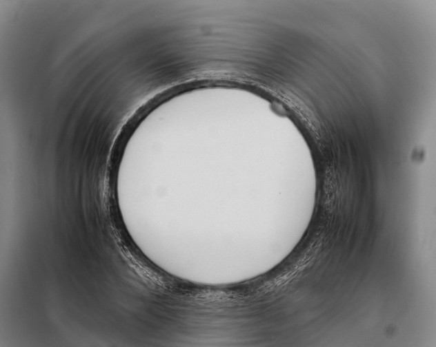 X0000098020880200804251135
