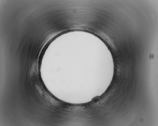 X0000098020884200804251135