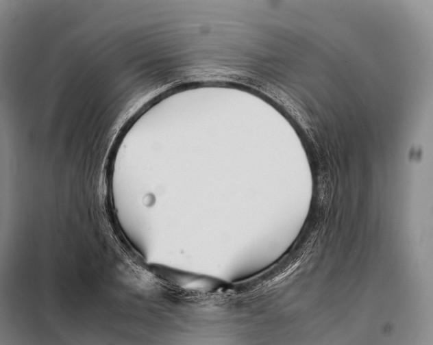 X0000098020885200804251135