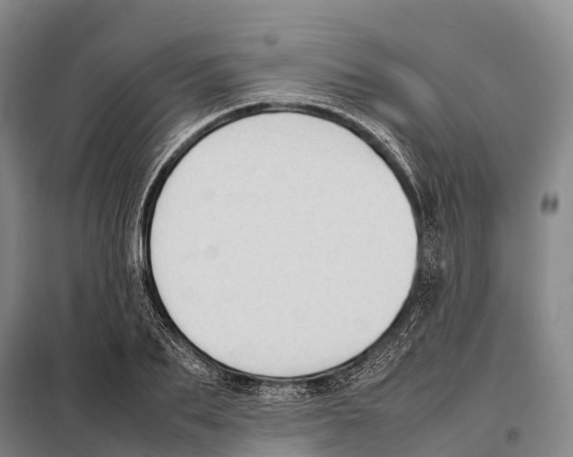 X0000098020887200804251135
