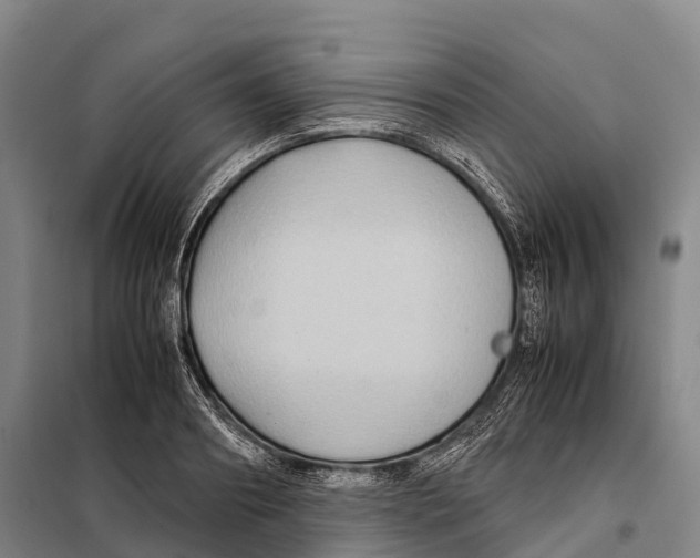 X0000098020890200804251135