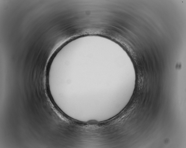 X0000098020894200804251134