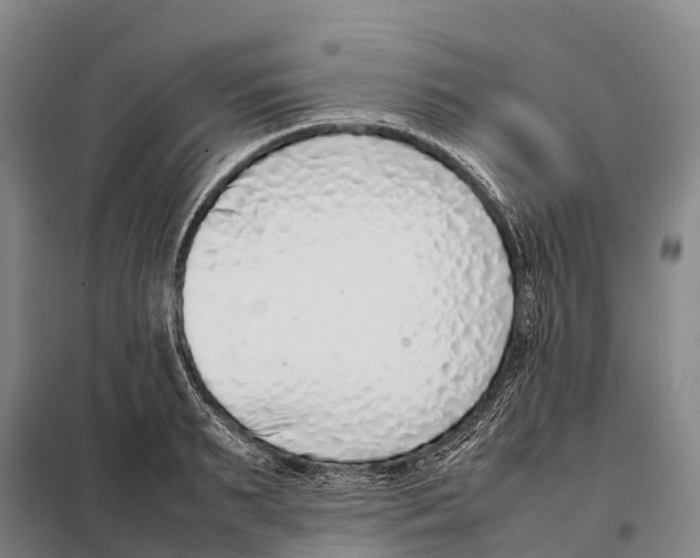 X0000098020895200804251134