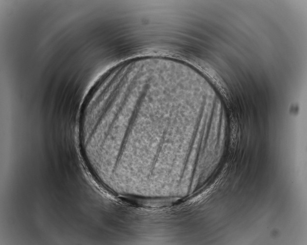X0000098020896200804251134