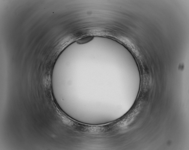X0000098020897200804251134