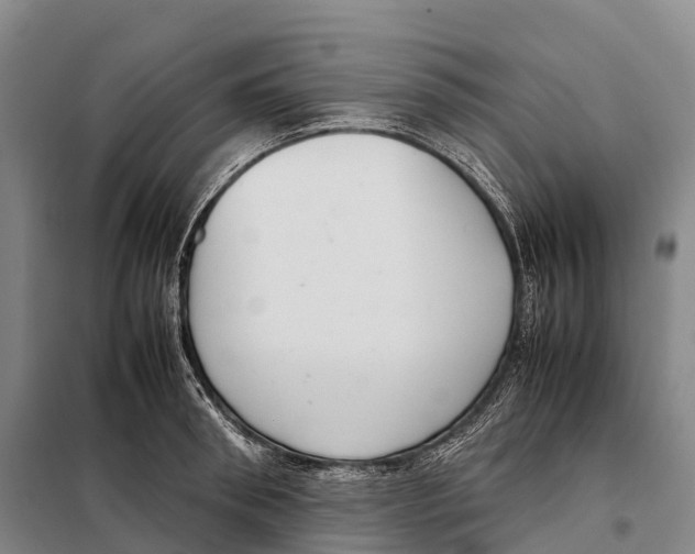 X0000098020898200804251134