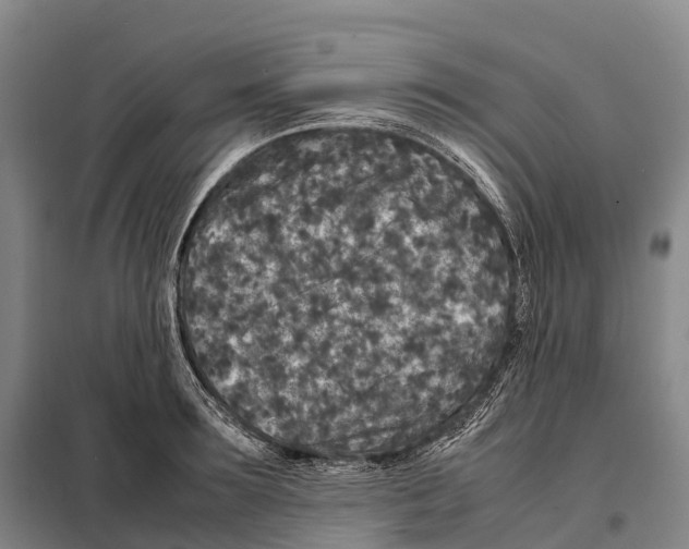 X0000098020899200804251134