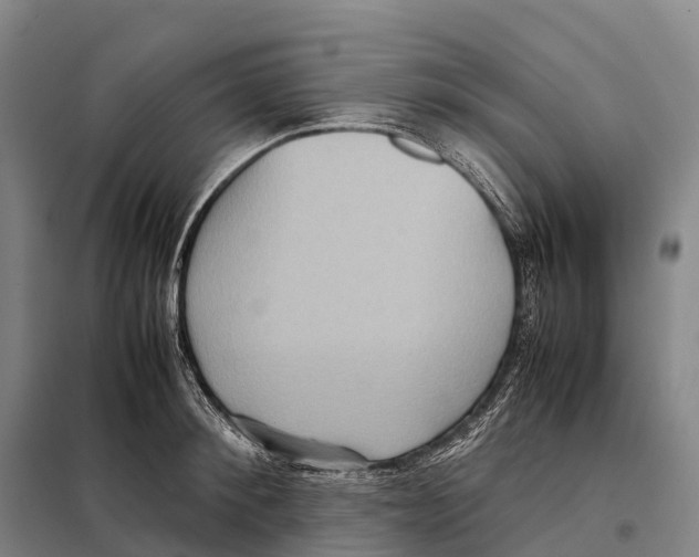 X0000098020900200804251134