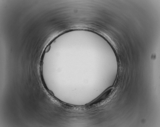 X0000098020901200804251134