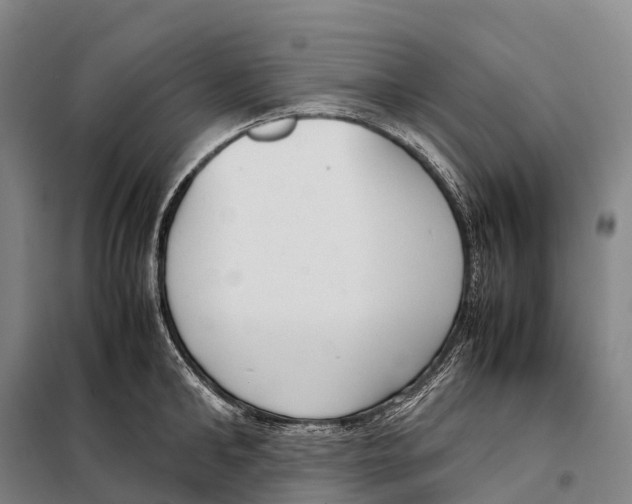 X0000098020902200804251134