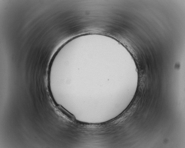 X0000098020904200804251134