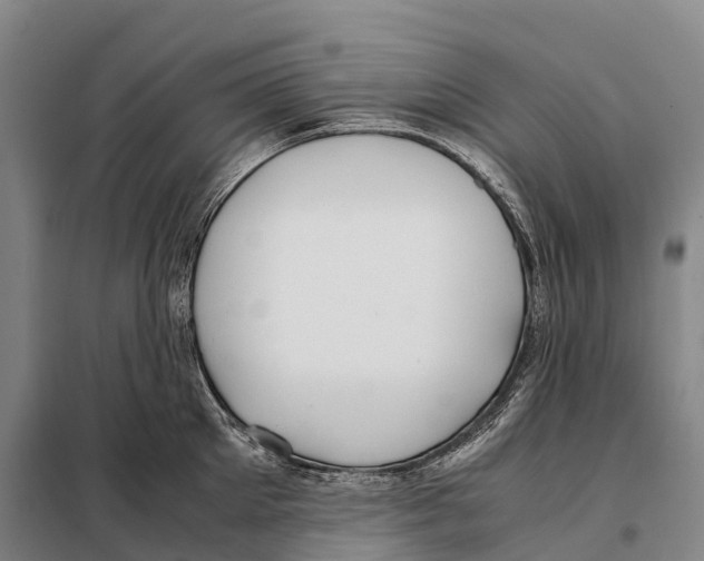 X0000098020905200804251134