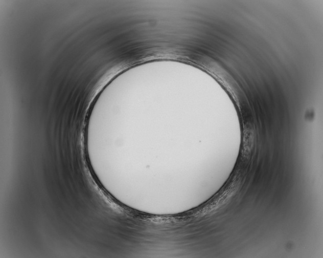 X0000098020906200804251134