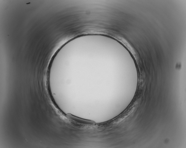 X0000098020909200804251134