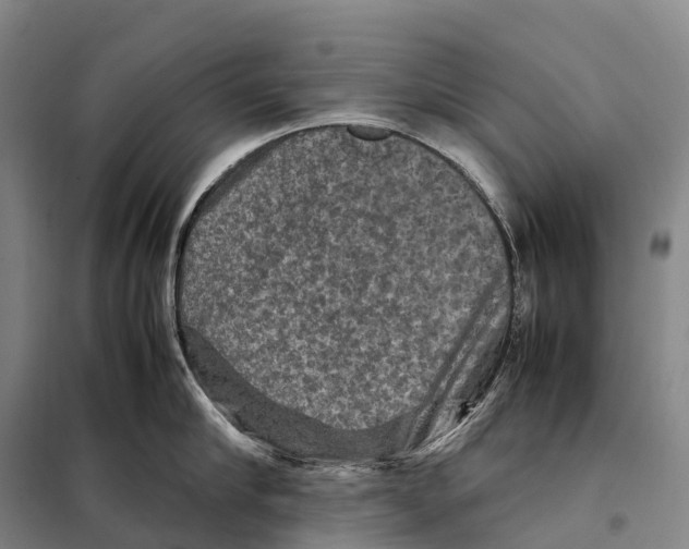 X0000098020910200804251134