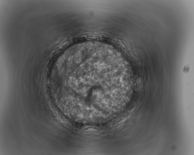X0000098020913200804251133