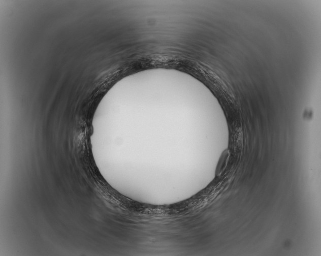 X0000098020914200804251133