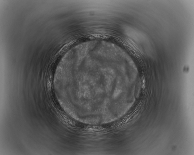 X0000098020915200804251133