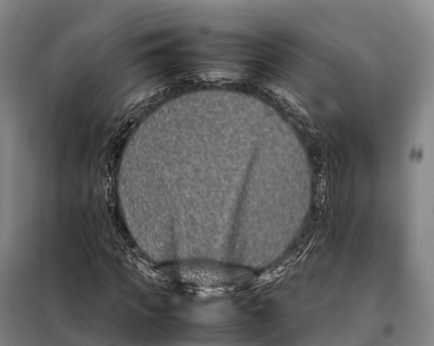 X0000098020917200804251133