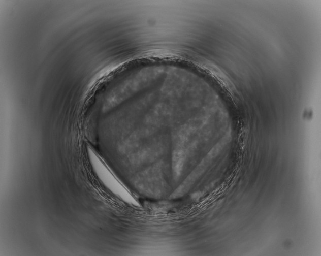 X0000098020920200804251133
