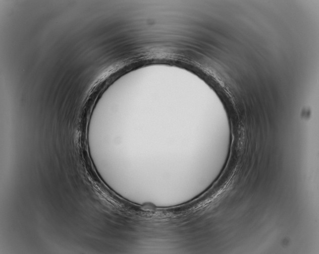 X0000098020922200804251134