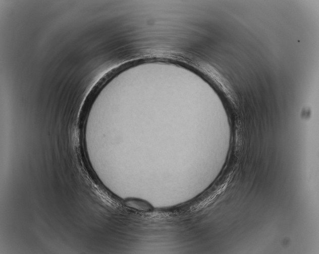 X0000098020924200804251134