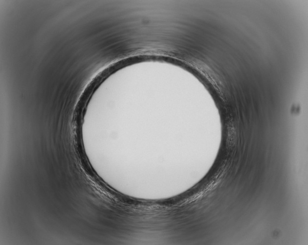 X0000098020926200804251134