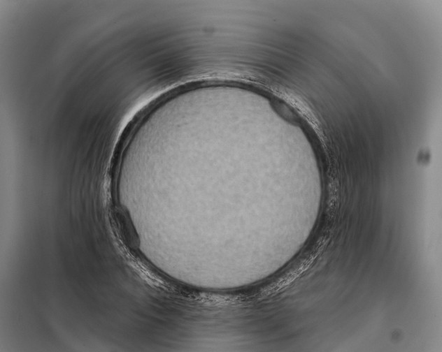 X0000098020928200804251134