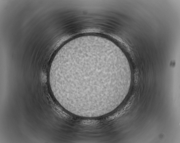 X0000098020929200804251134