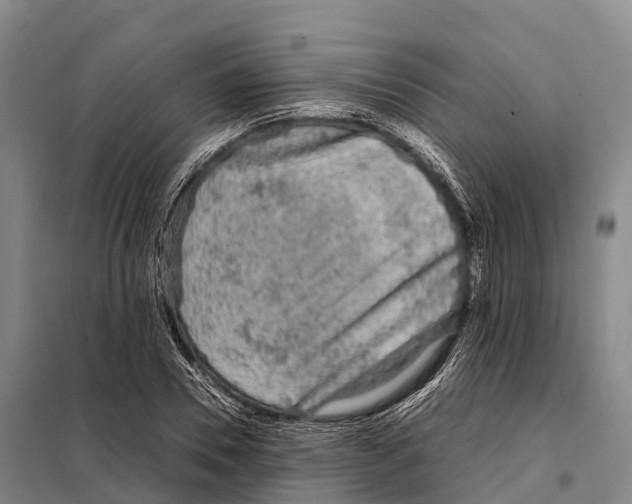 X0000098020930200804251134