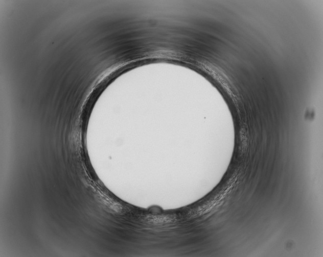 X0000098020931200804251134